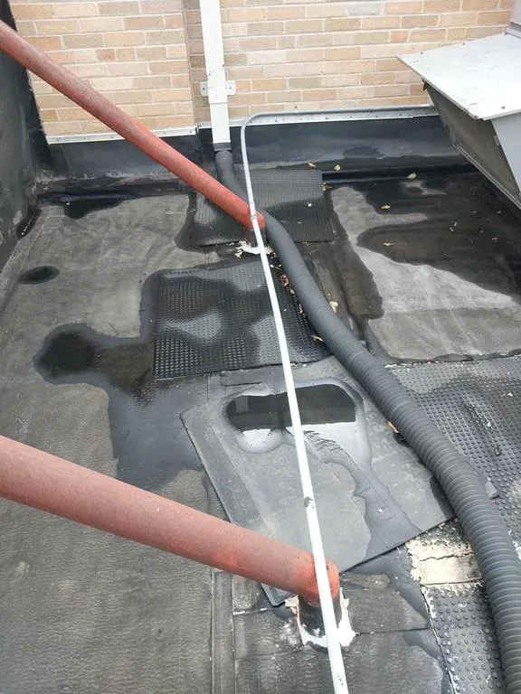 Existing roof with standing water