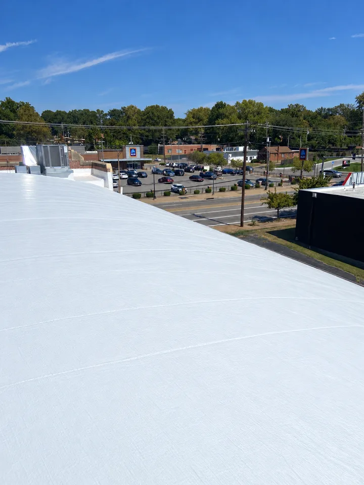 Re-coated roof overview facing commercial district (retouched photo)